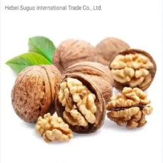 High Quality Nutrition Rich 100% Natural Health Food, Xinjiang 185 Walnuts