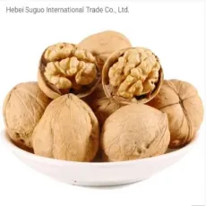 Xinjiang Factory Walnut Manufacturers Direct Sales Origin of High Quality Walnut