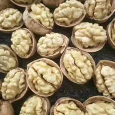 2021 New Crop Chinese Cheap Walnut in Shell 185 Type Washed 32mm up