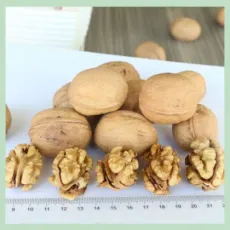 Factory Direct Sales of a Large Number of Xinjiang 185 Walnut Walnuts
