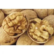 100% Natural Xinjiang Wholesale Organic 185 Walnuts Inshell