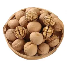 Walnut Nuts Top Class Walnut Kernels Dried Style Raw Walnut of Xinjiang Origin Without Chemical Agent