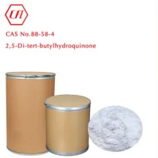 CAS 88-58-4 Antioxidant 99.0%Min 2, 5-Di-Tert-Butylhydroquinone DTBHQ